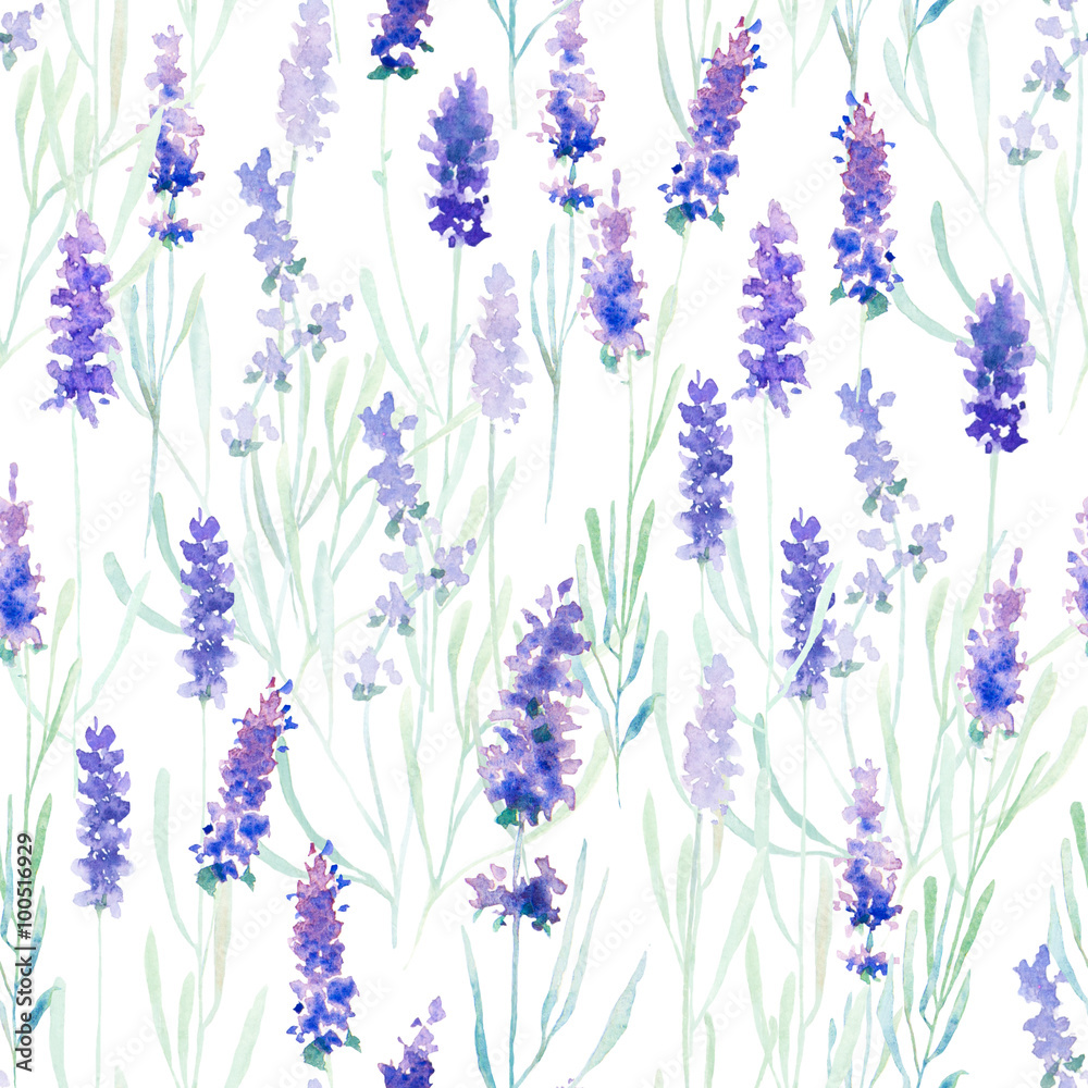 Tapeta Lavender seamless pattern