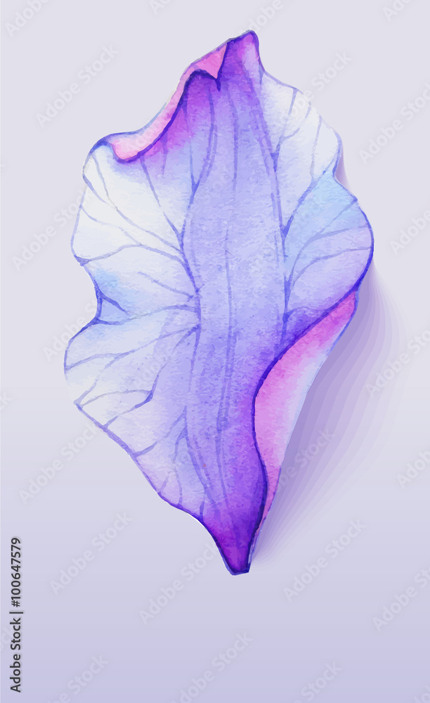 Obraz na płótnie Watercolor element flower