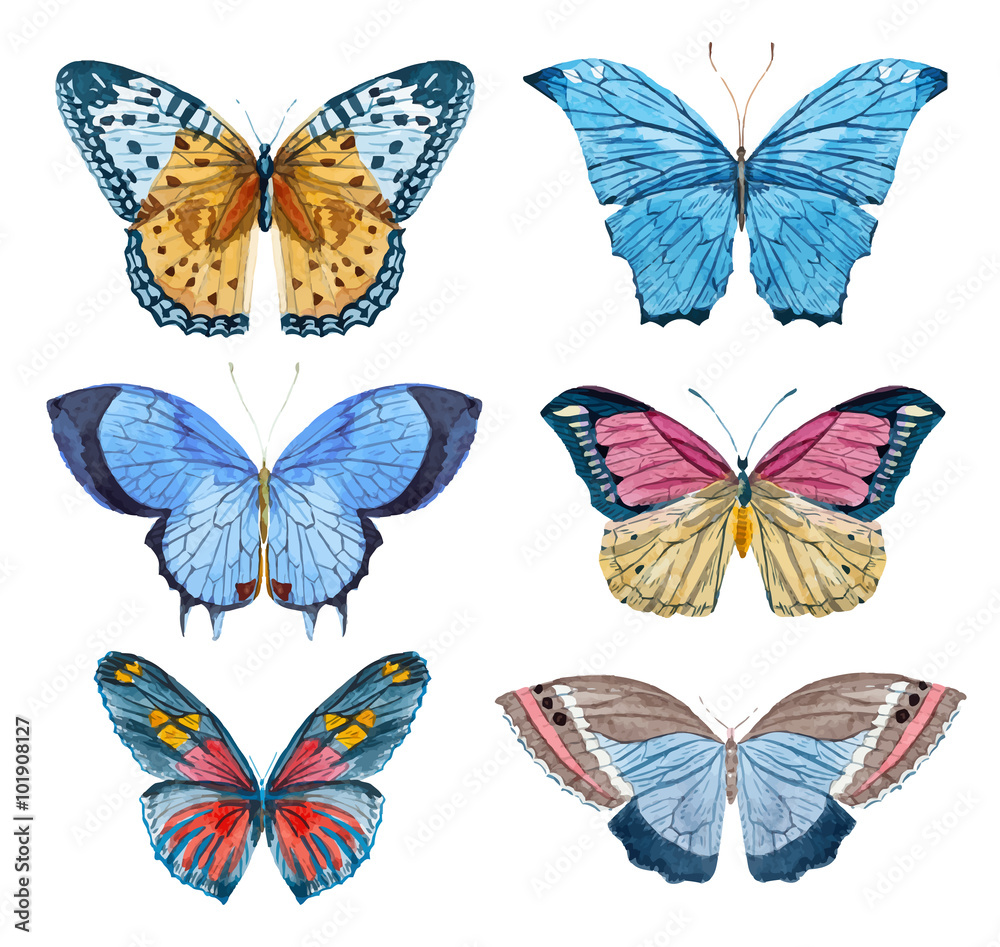Obraz Tryptyk Watercolor vector butterflies