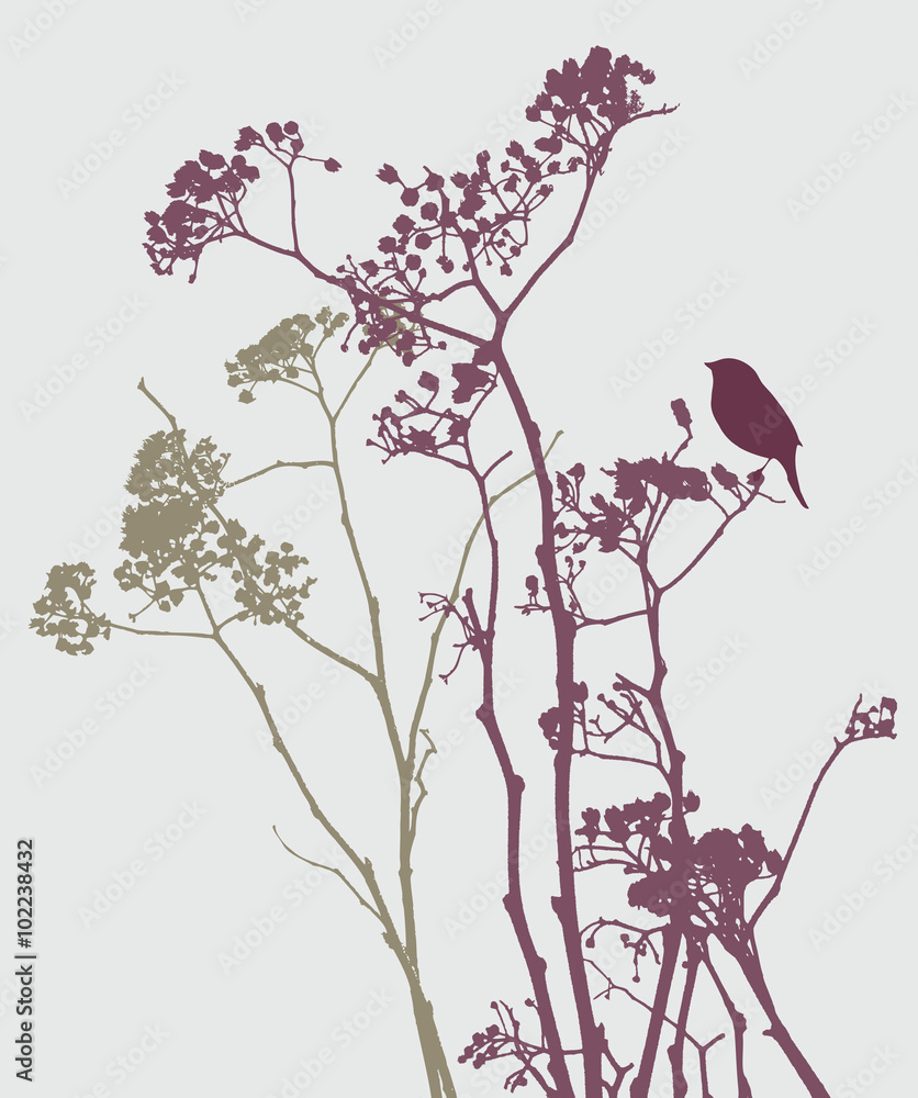 Obraz Tryptyk bird on meadow flowers