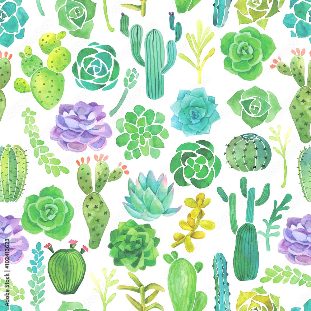 Tapeta Watercolor cactus and