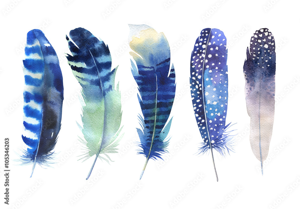 Obraz Pentaptyk Hand drawn watercolor feather