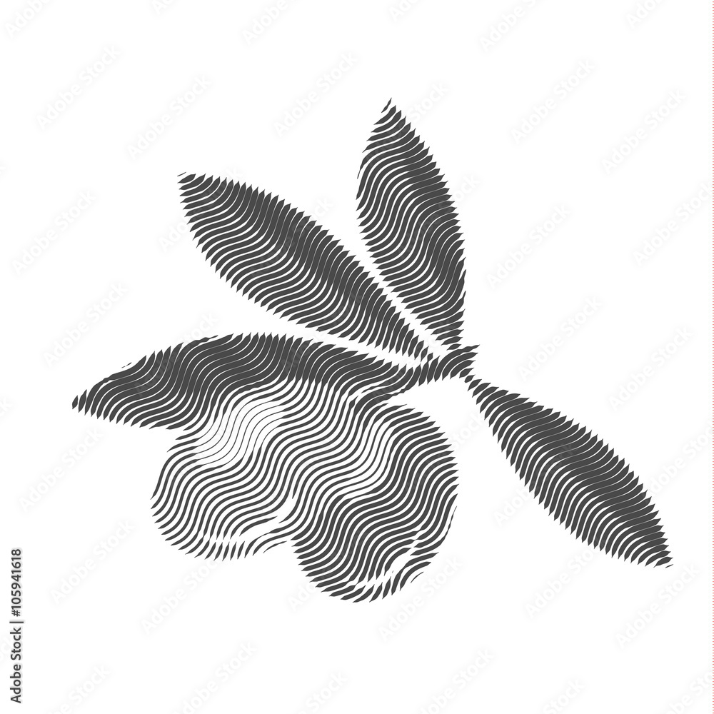 Obraz Pentaptyk Olives, engraving, vector