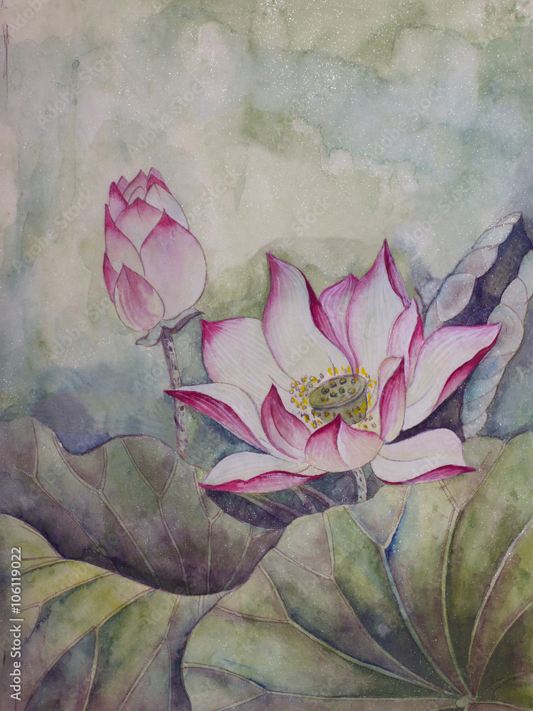Obraz Tryptyk beautiful blooming lotus