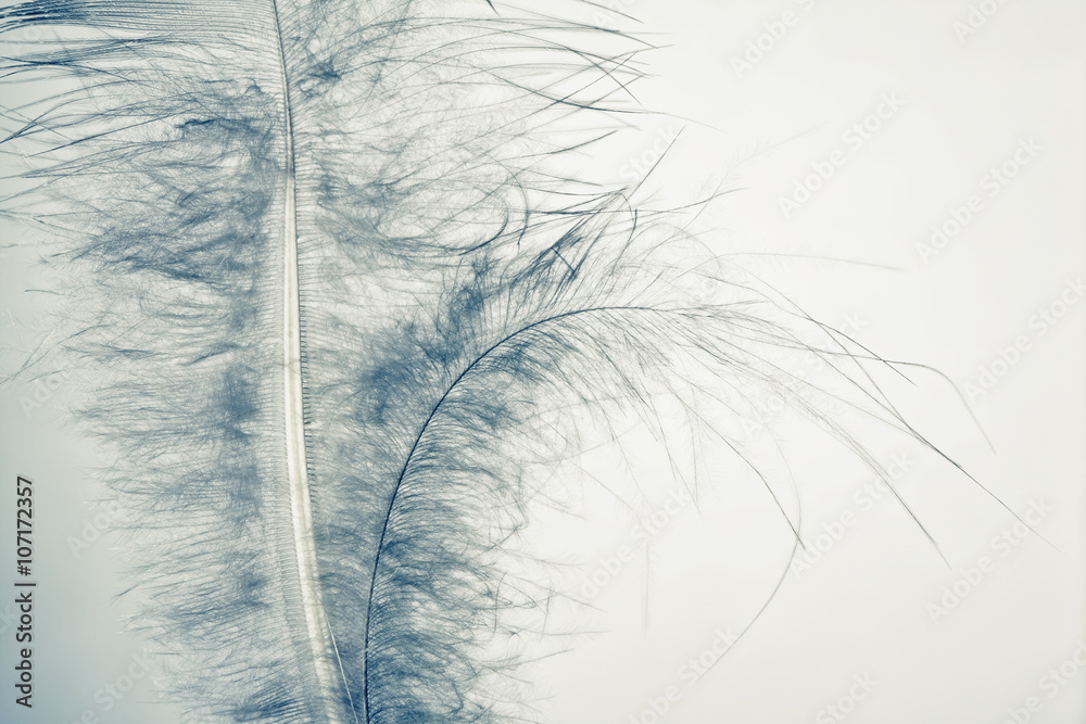 Obraz Kwadryptyk down feather