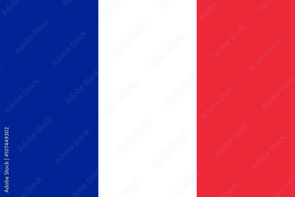 Fototapeta Vector of French flag.
