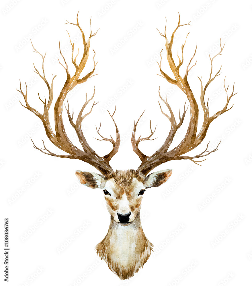 Obraz Dyptyk Watercolor hand drawn deer