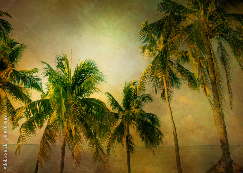 Fototapeta Warm tone palm trees with