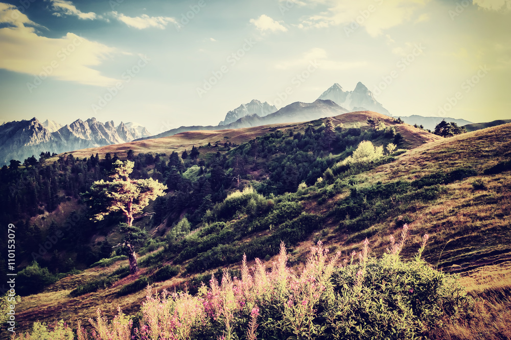 Obraz Dyptyk Vintage Valley and Mountains