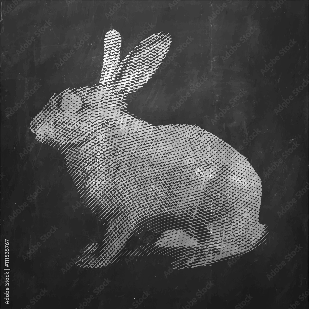 Obraz Kwadryptyk Rabbit. Farm animal. Vintage