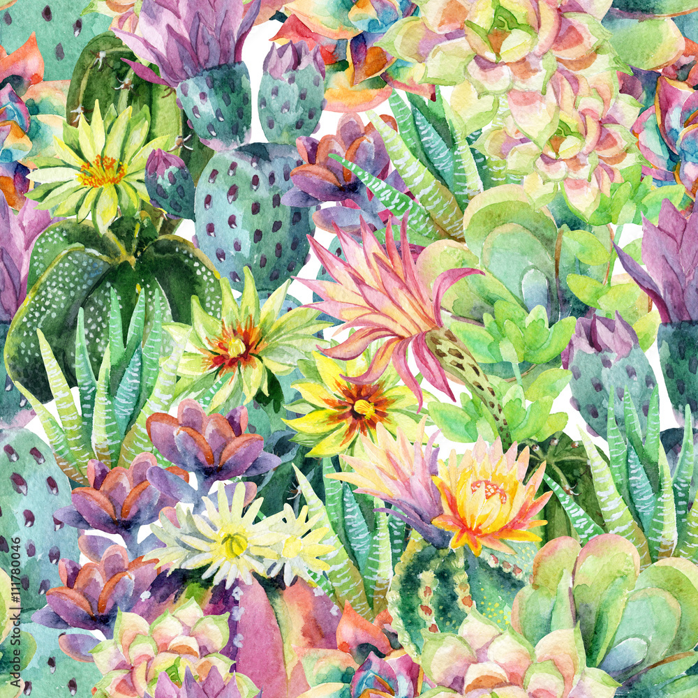 Tapeta Watercolor blooming cactus
