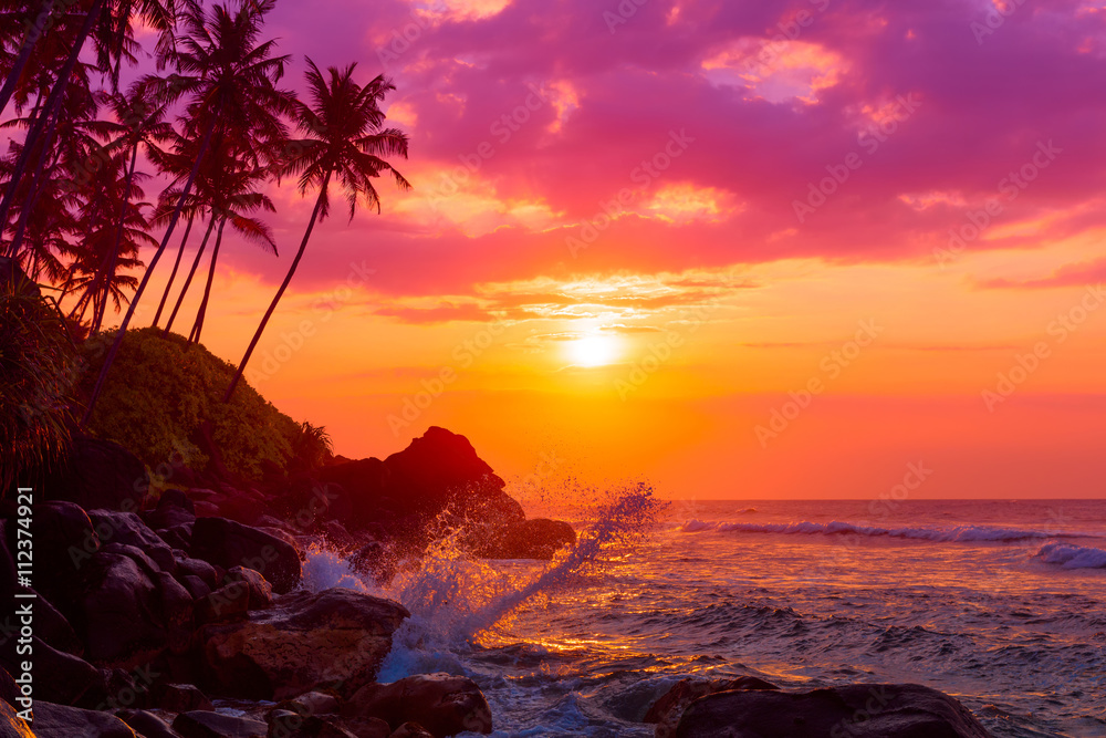 Fototapeta Tropical beach at sunset with