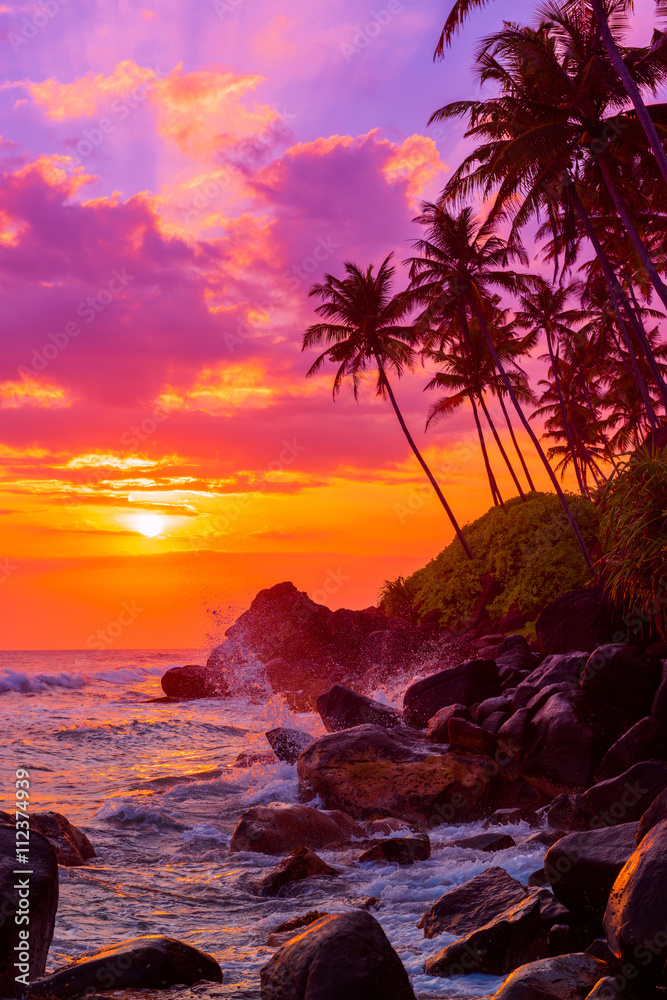 Fototapeta Palm trees on tropical beach