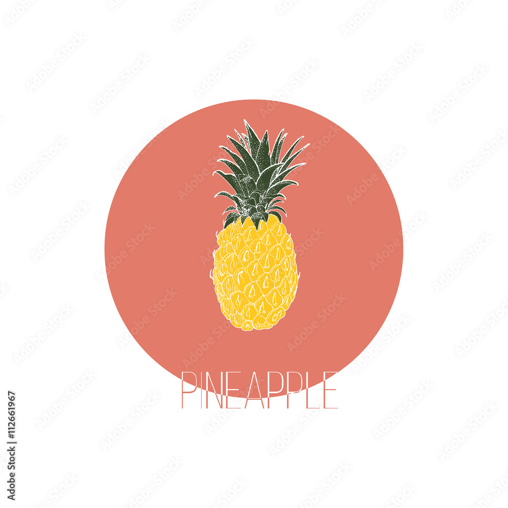 Obraz Tryptyk Hand drawn pineapple. Vector