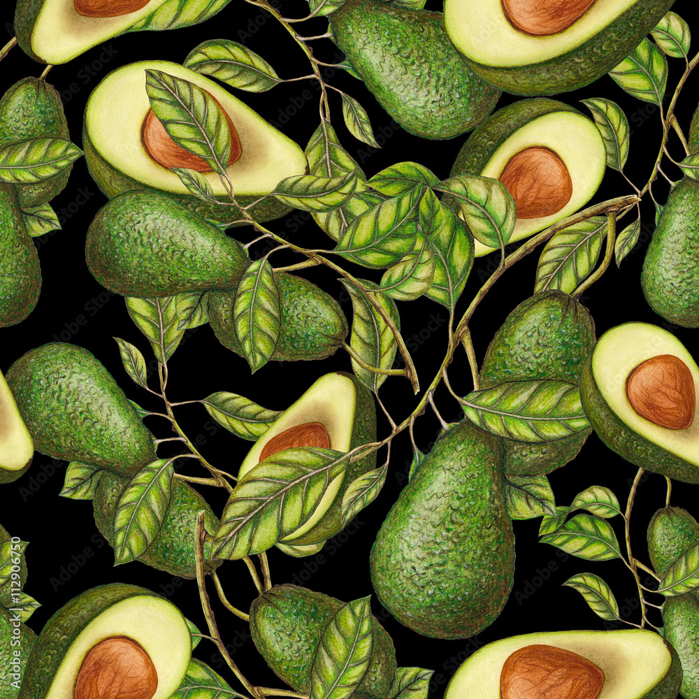 Fototapeta Hand drawn avocados on dark