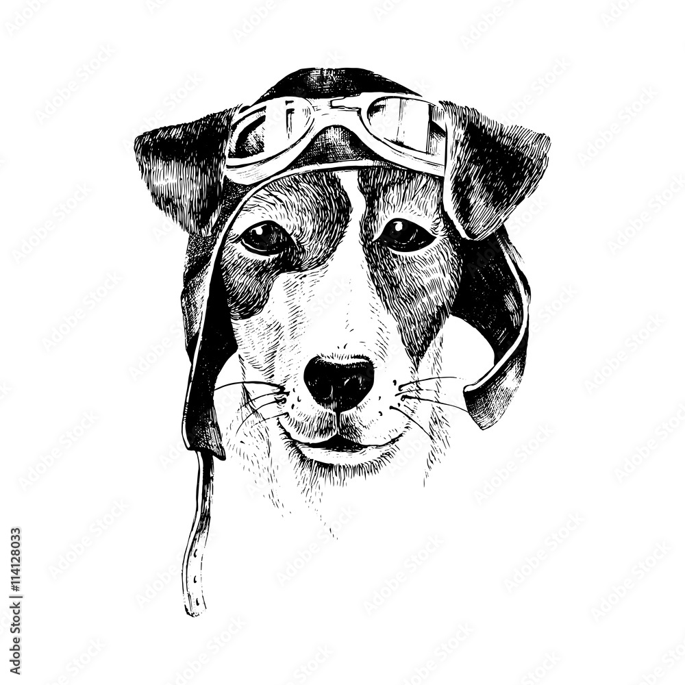 Fototapeta Hand drawn dressed up dog