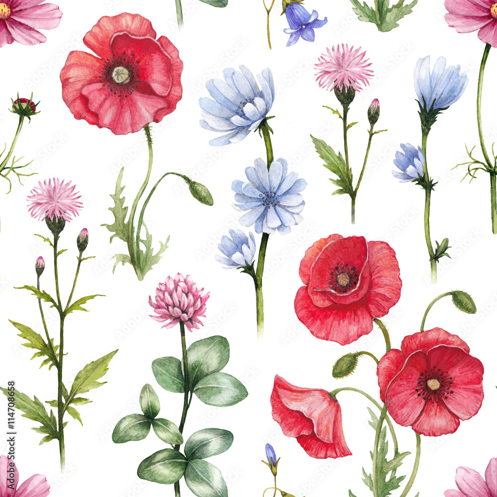 Tapeta Wild flowers illustrations.