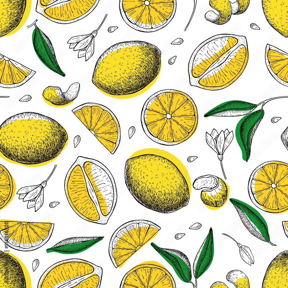 Obraz Kwadryptyk Lemon vector seamless pattern.