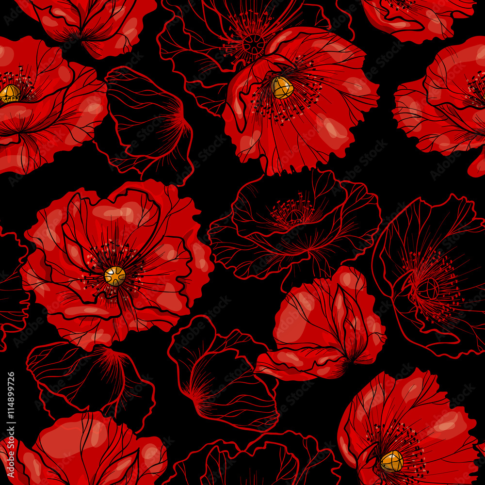 Tapeta Red poppy on black background.