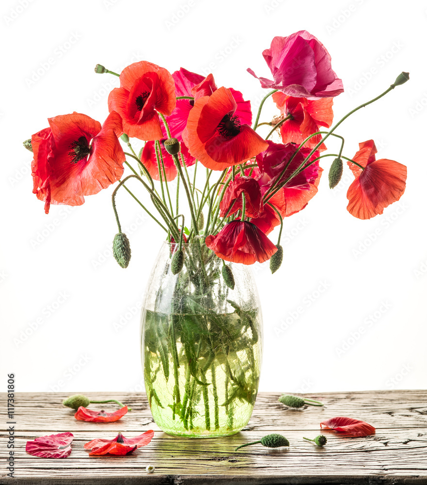 Obraz Tryptyk Bouquet of poppy flowers in
