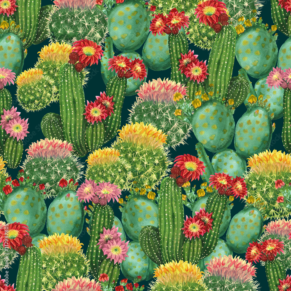 Fototapeta pattern with blooming cactuses