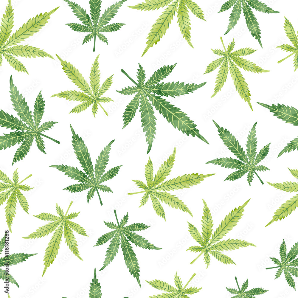Tapeta Watercolor marijuana leaves