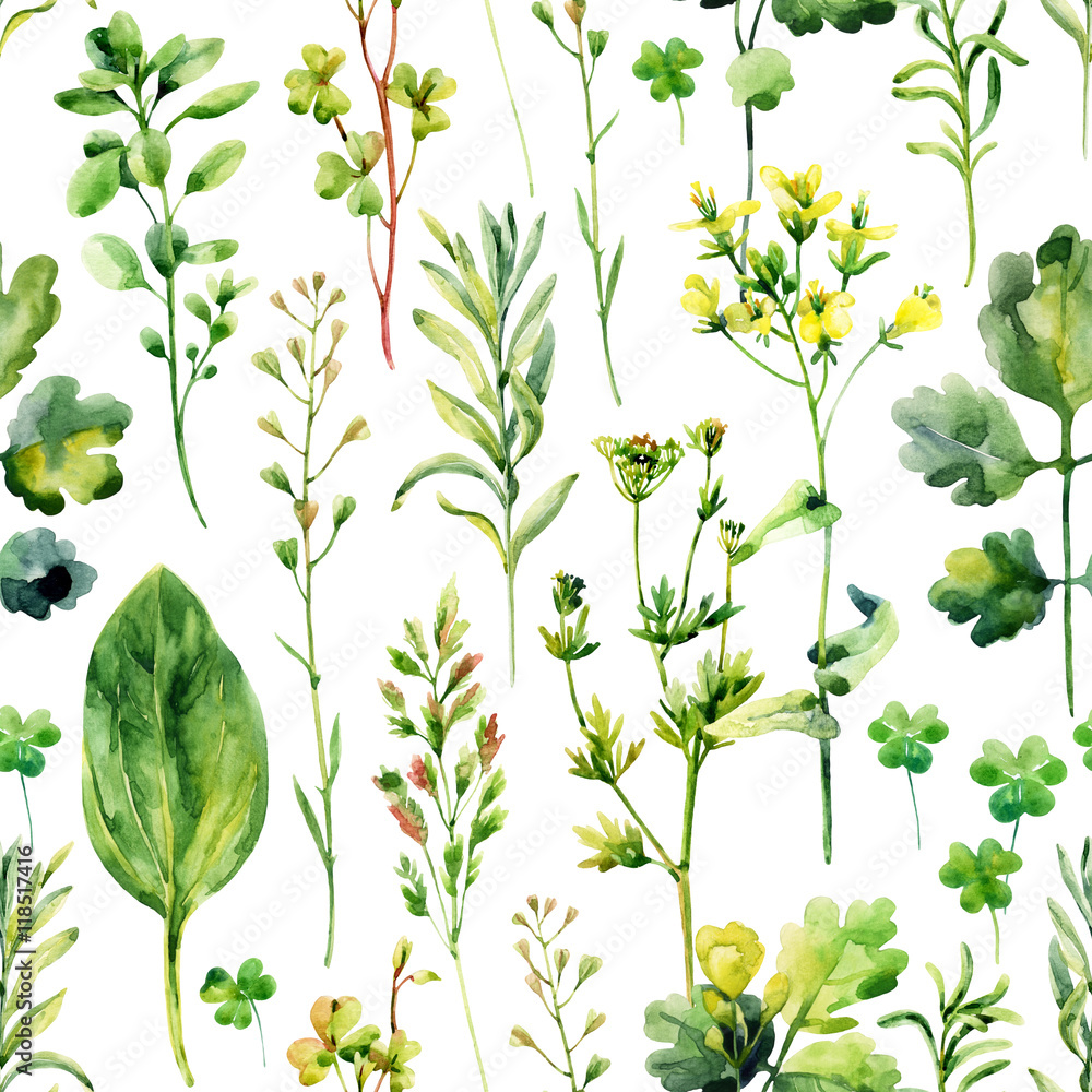 Tapeta Watercolor meadow weeds and