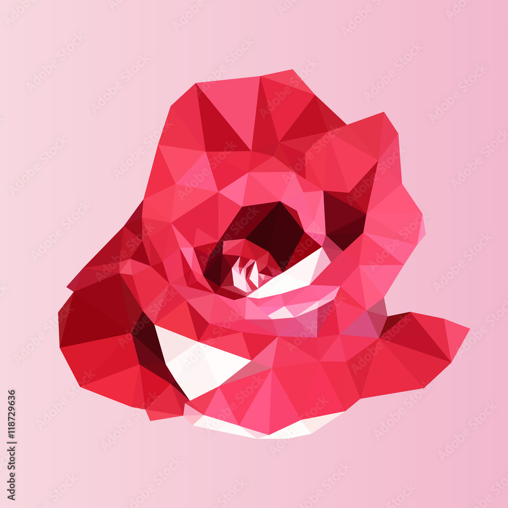 Obraz Tryptyk polygonal red rose. poly low