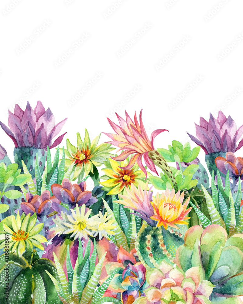 Obraz Pentaptyk Watercolor blooming cactus
