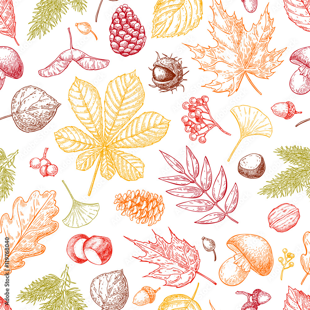 Tapeta Autumn seamless vector pattern