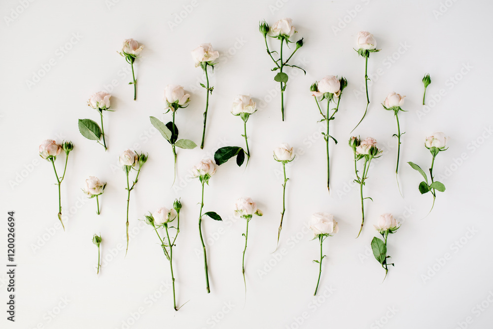 Obraz Dyptyk Roses on white background.