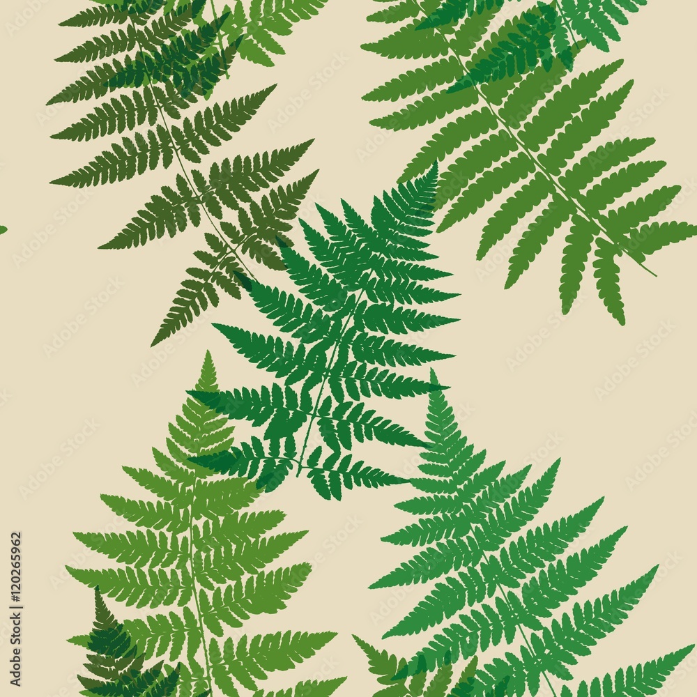 Tapeta Seamless pattern of fern