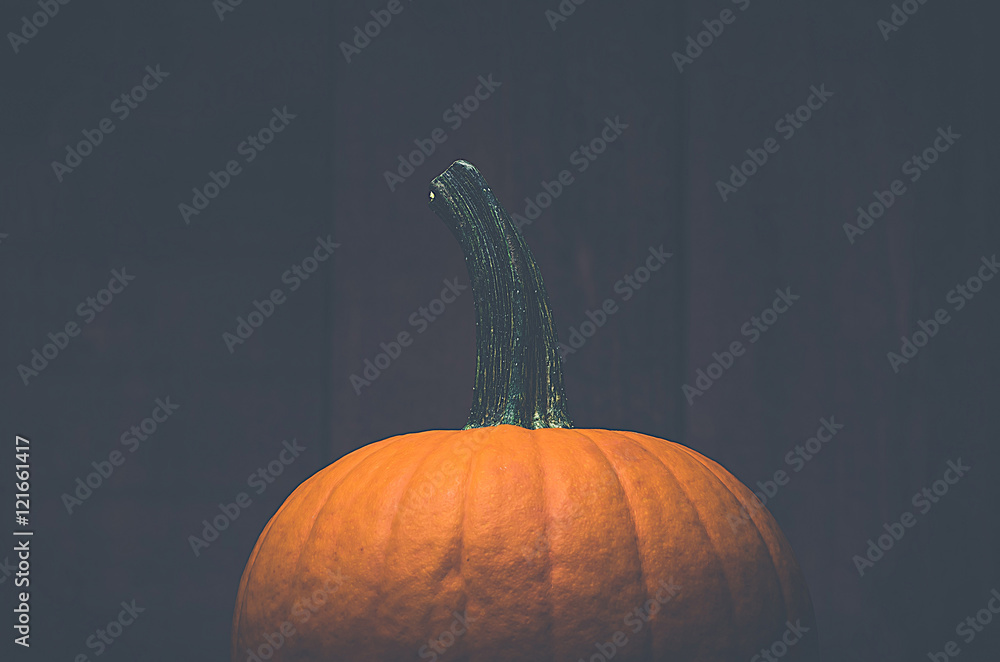Obraz Pentaptyk Vintage style pumpkin
