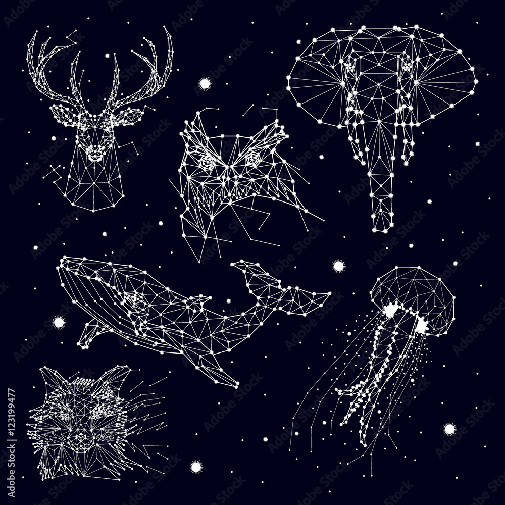 Obraz Dyptyk set of constellation ,