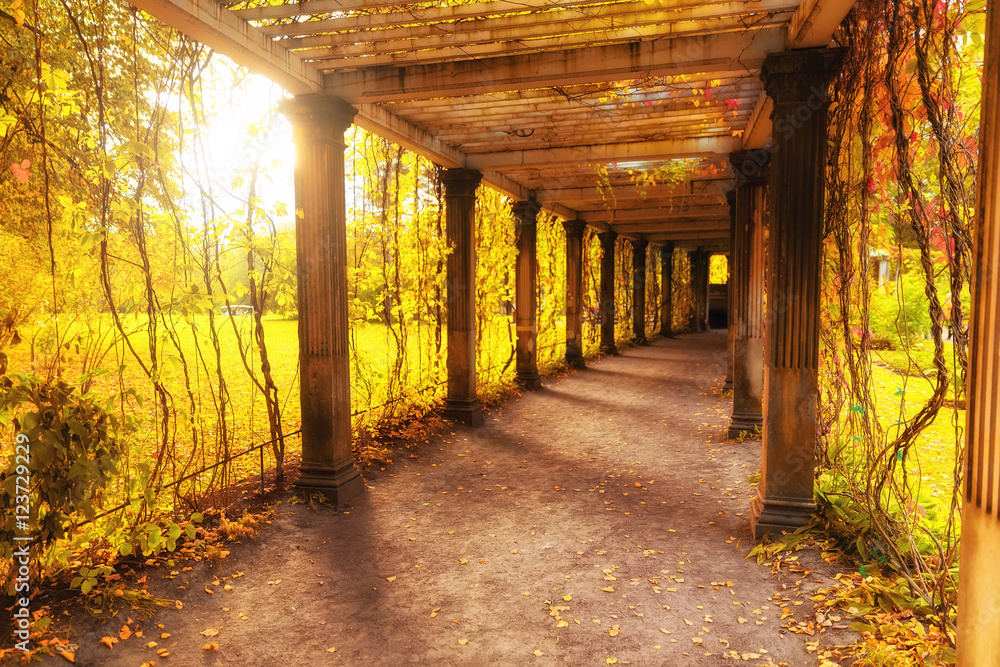 Obraz Dyptyk Beautiful autumn park