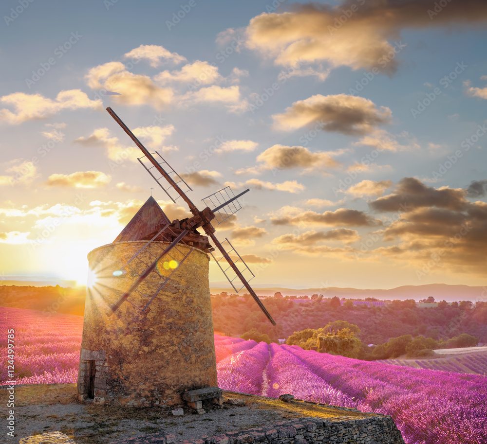 Obraz Tryptyk Windmill with levander field