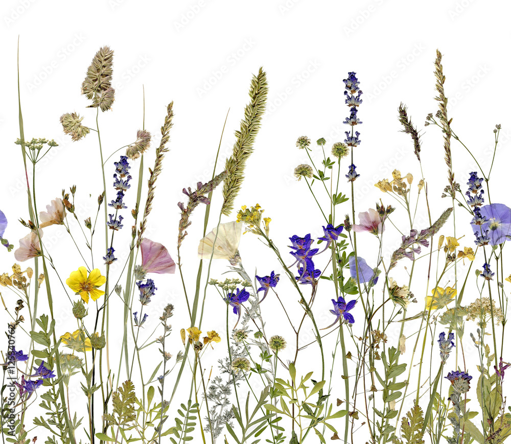 Obraz Pentaptyk flowers and herbs. An