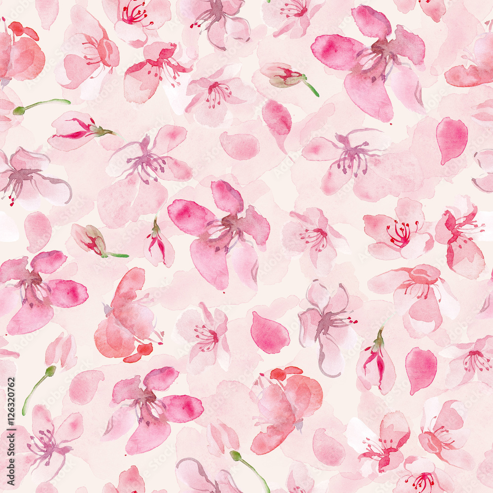 Tapeta sakura flower background