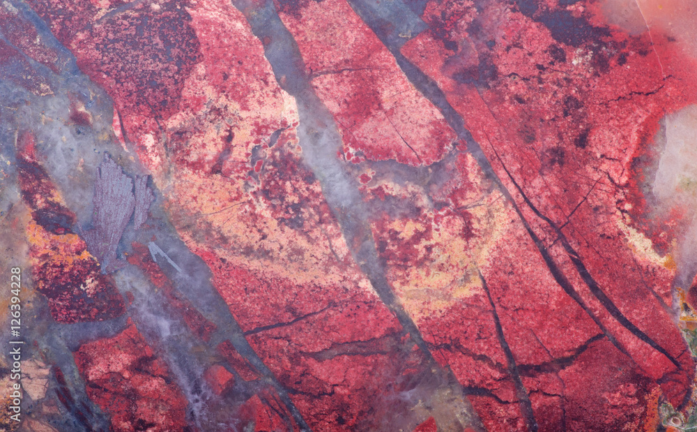 Fototapeta red and gray jasper texture