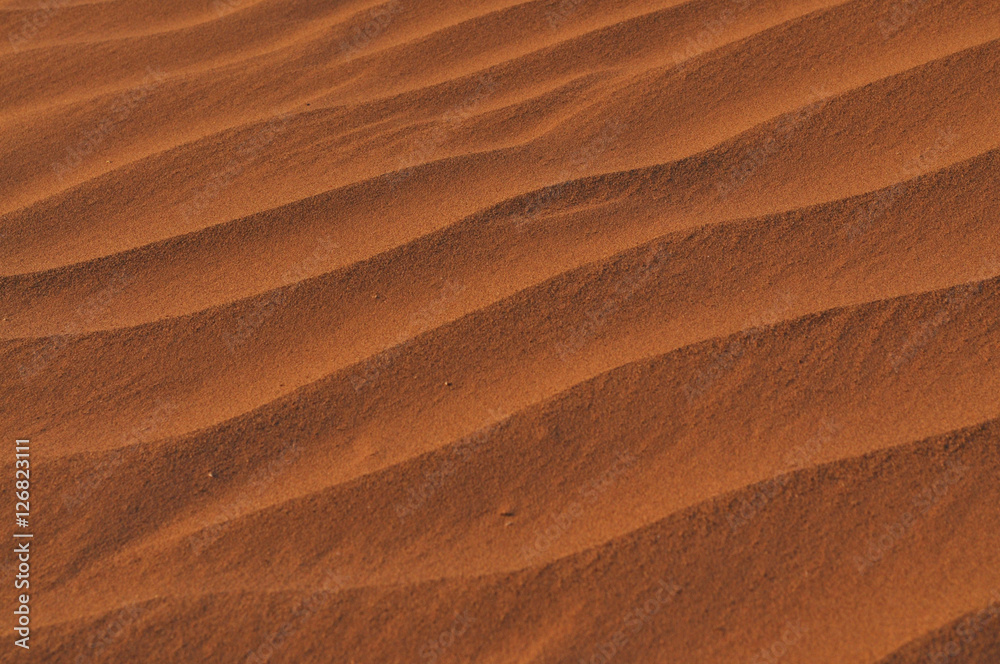 Obraz na płótnie Sand of Desert