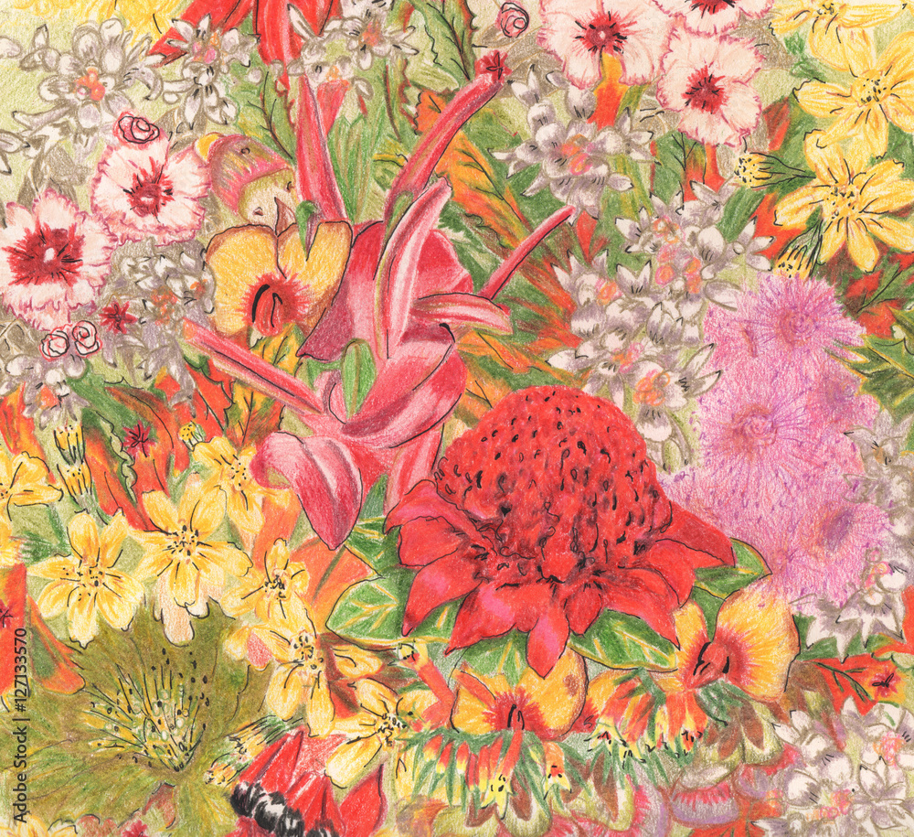 Obraz Pentaptyk Wild flowers. Australian