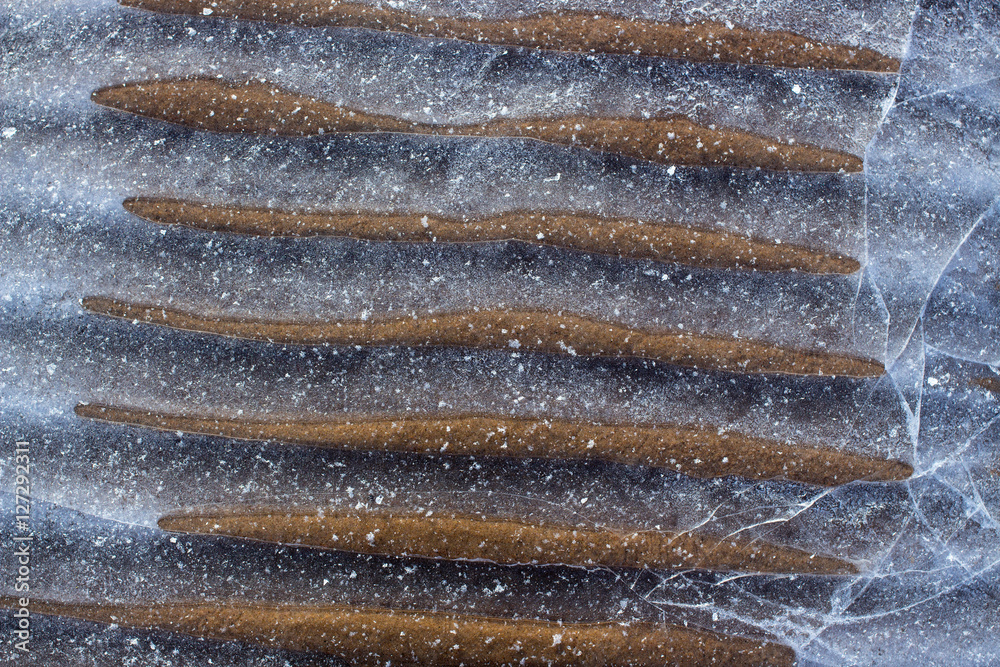 Obraz Tryptyk Frozen Ground Closeup