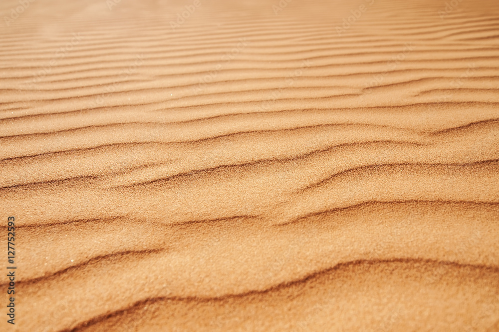 Obraz Pentaptyk closeup sand texture. picture