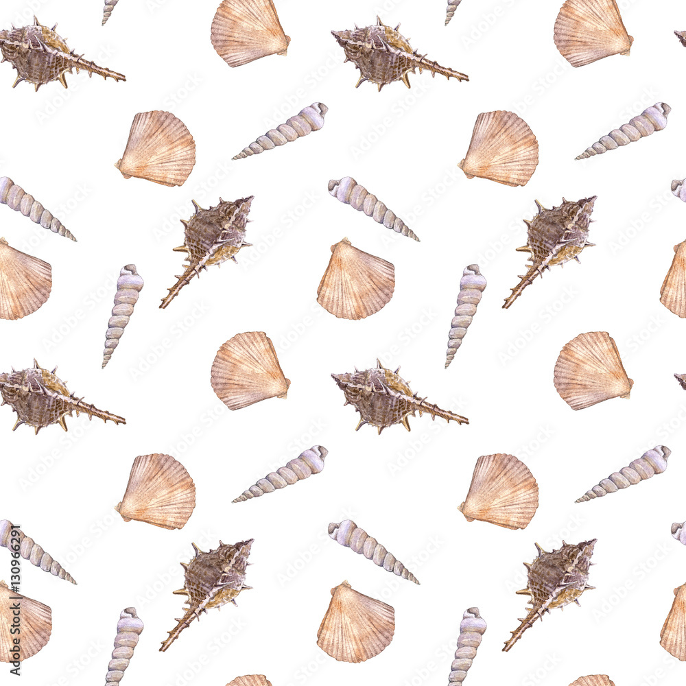 Tapeta seamless pattern with shells