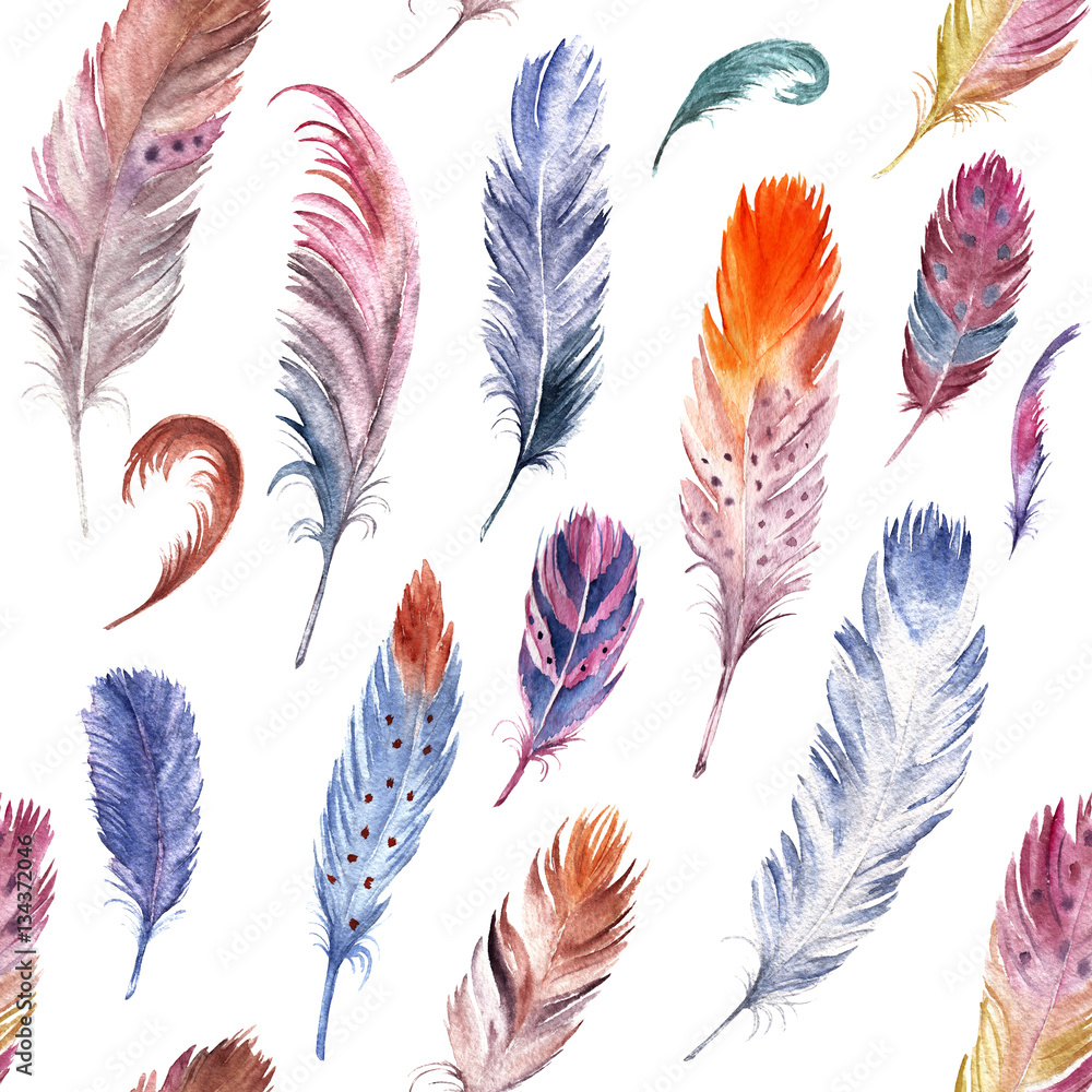 Tapeta Colorful watercolor feathers