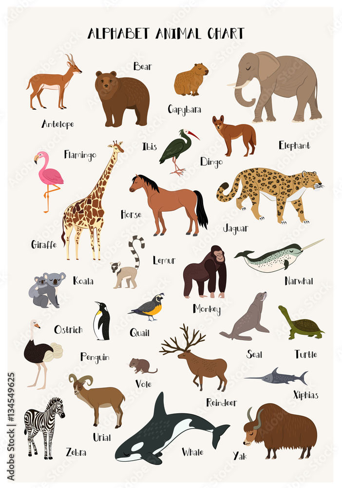 Obraz Pentaptyk Alphabet animal chart set for