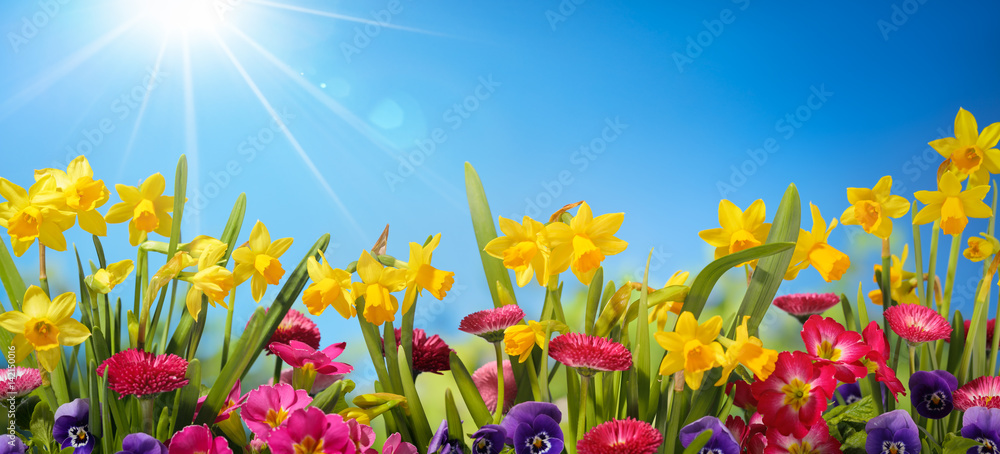 Obraz Tryptyk Spring flower