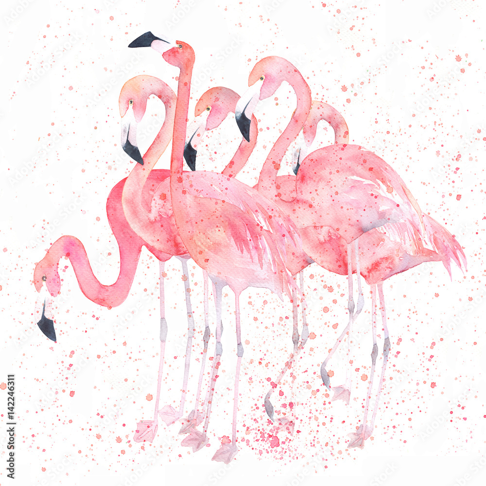 Fototapeta Watercolor flamingos with