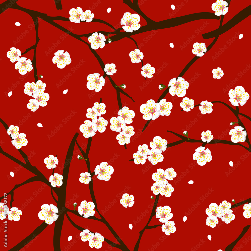 Tapeta White Plum Blossom Flower on