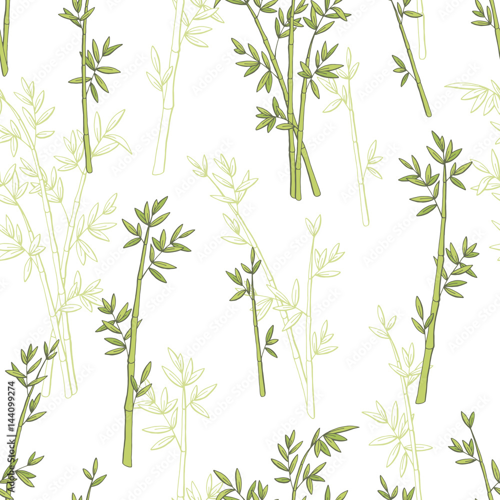 Tapeta Bamboo plant graphic green